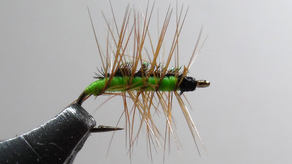 Crackleback Fly