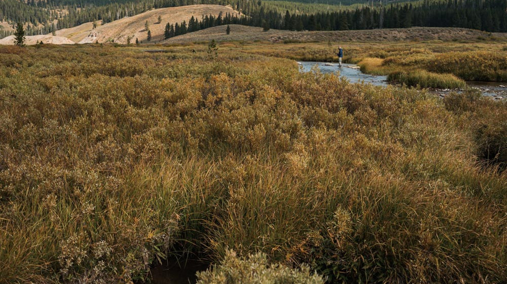 Fly Fishing in the Upper Yellowstone Watershed: Conservation and Sustainability Efforts