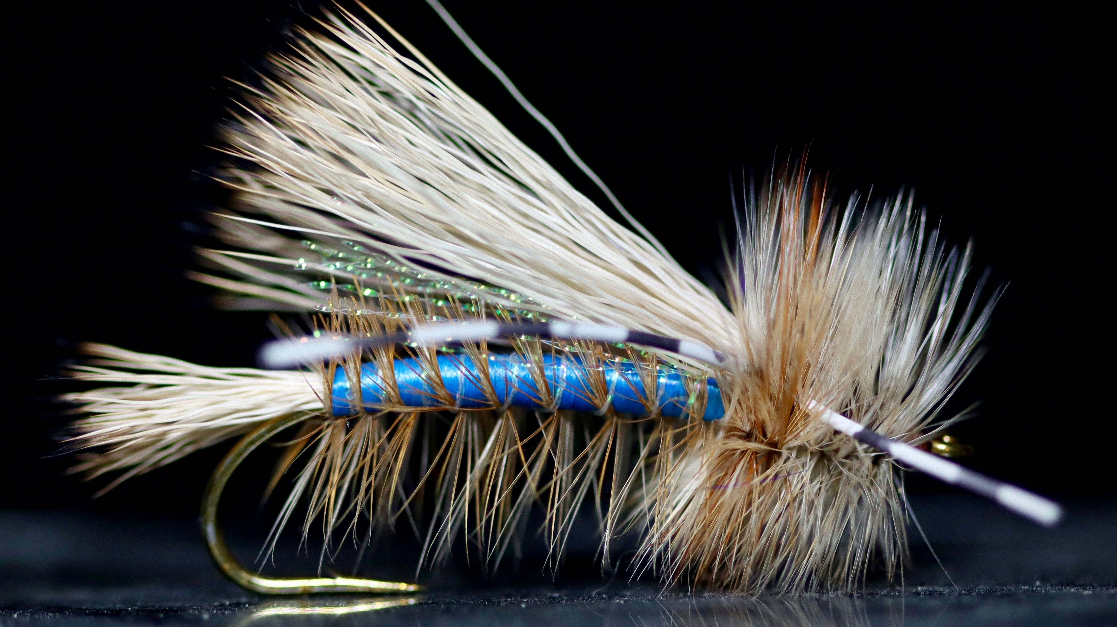 Do Fly Colors Make a Difference?