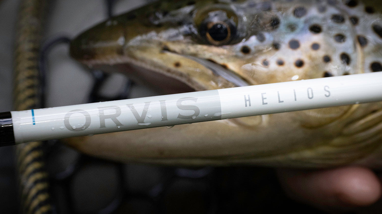 First Impressions: Orvis Helios Review