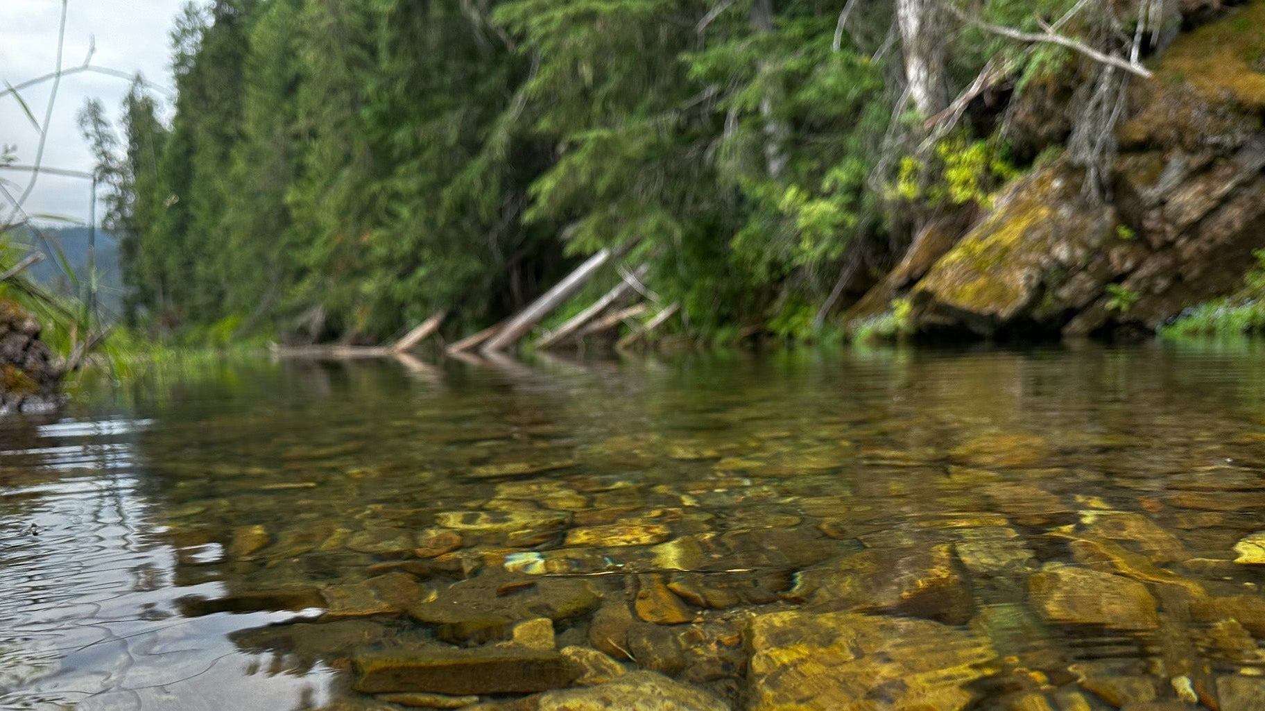 How to Read Water Like a Guide for Fly Fishing Success - Feather Craft Fly Fishing