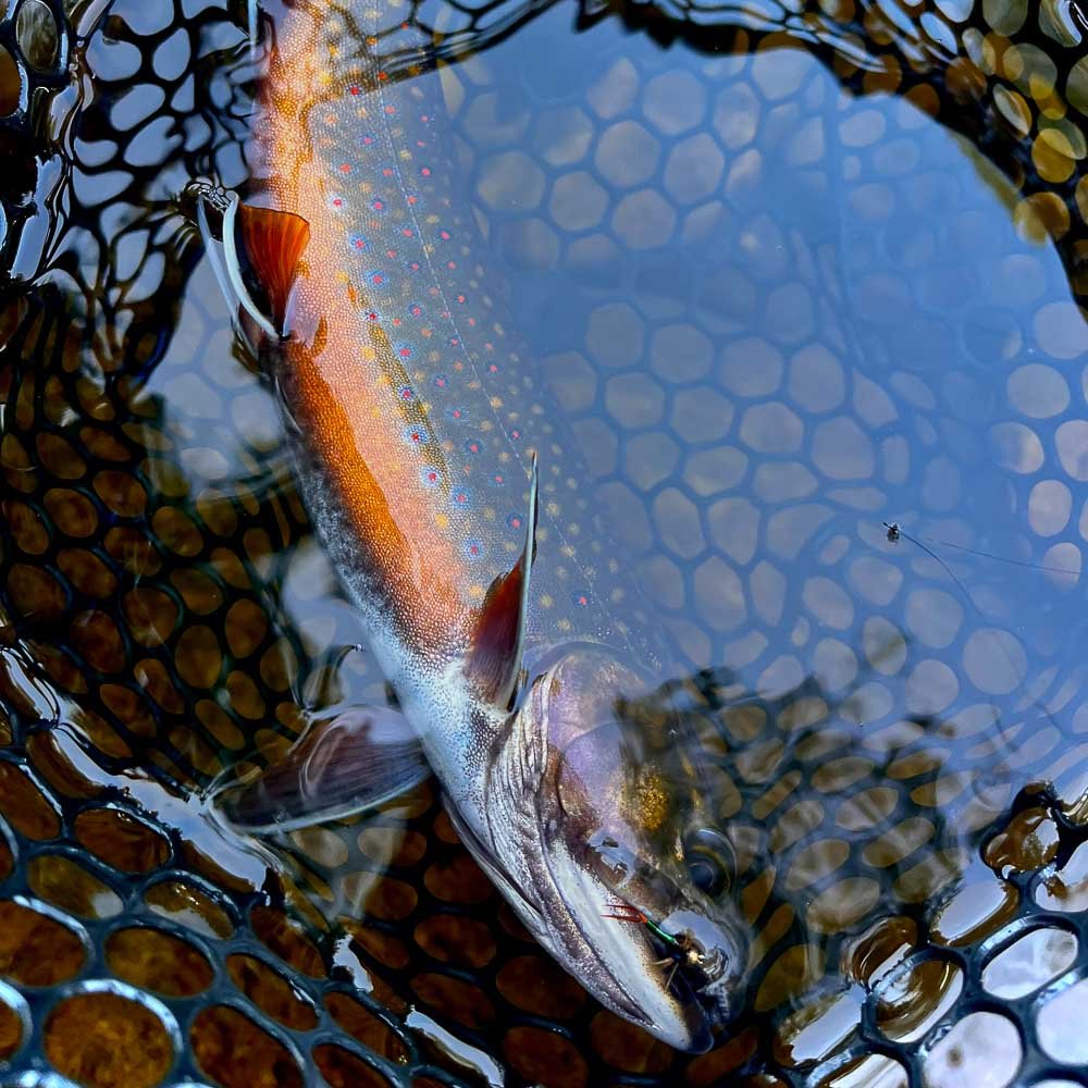 The Shoulder Season Is Becoming the Season - Feather Craft Fly Fishing