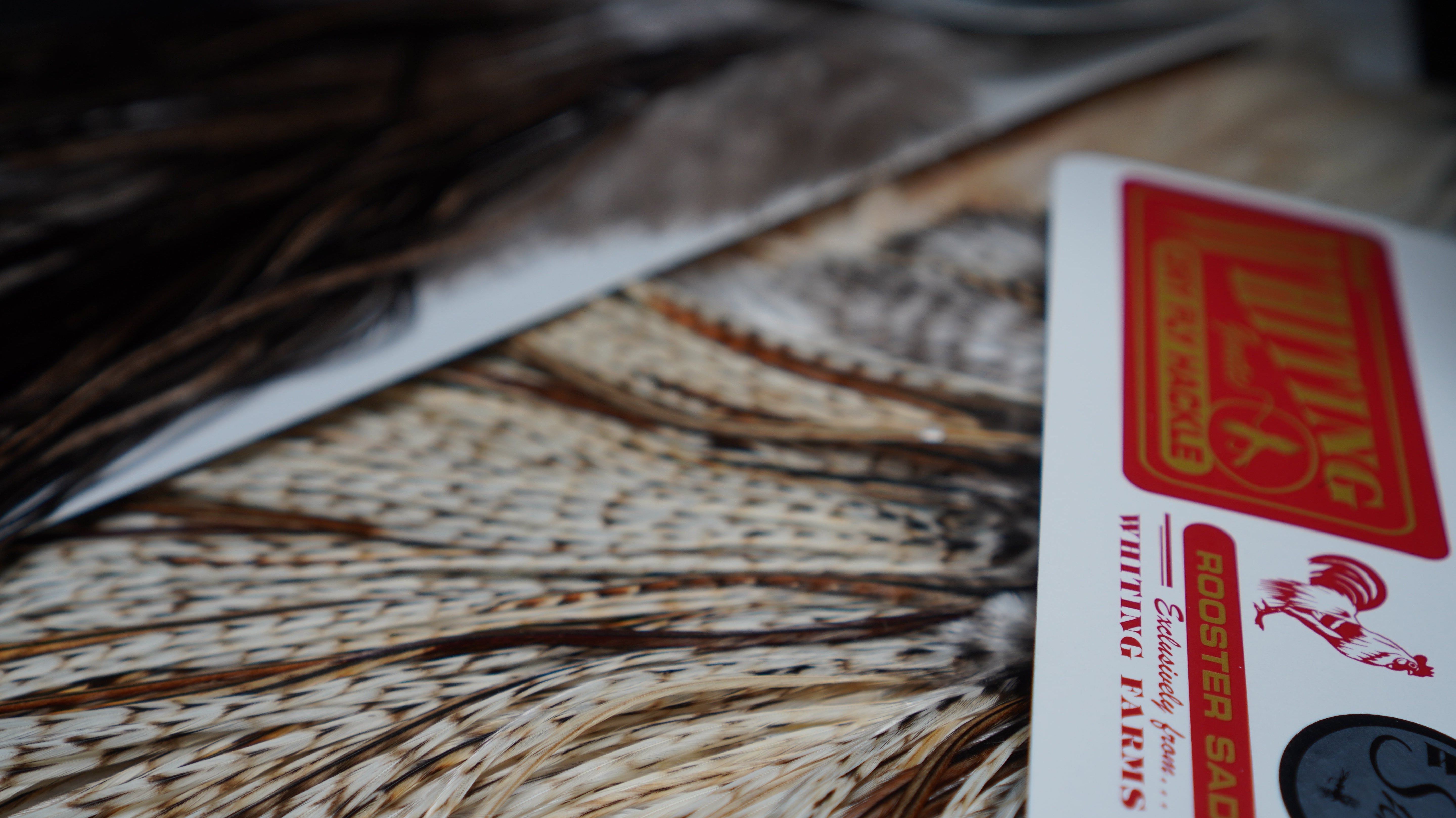 Whiting Farms Grading System - Feather Craft Fly Fishing
