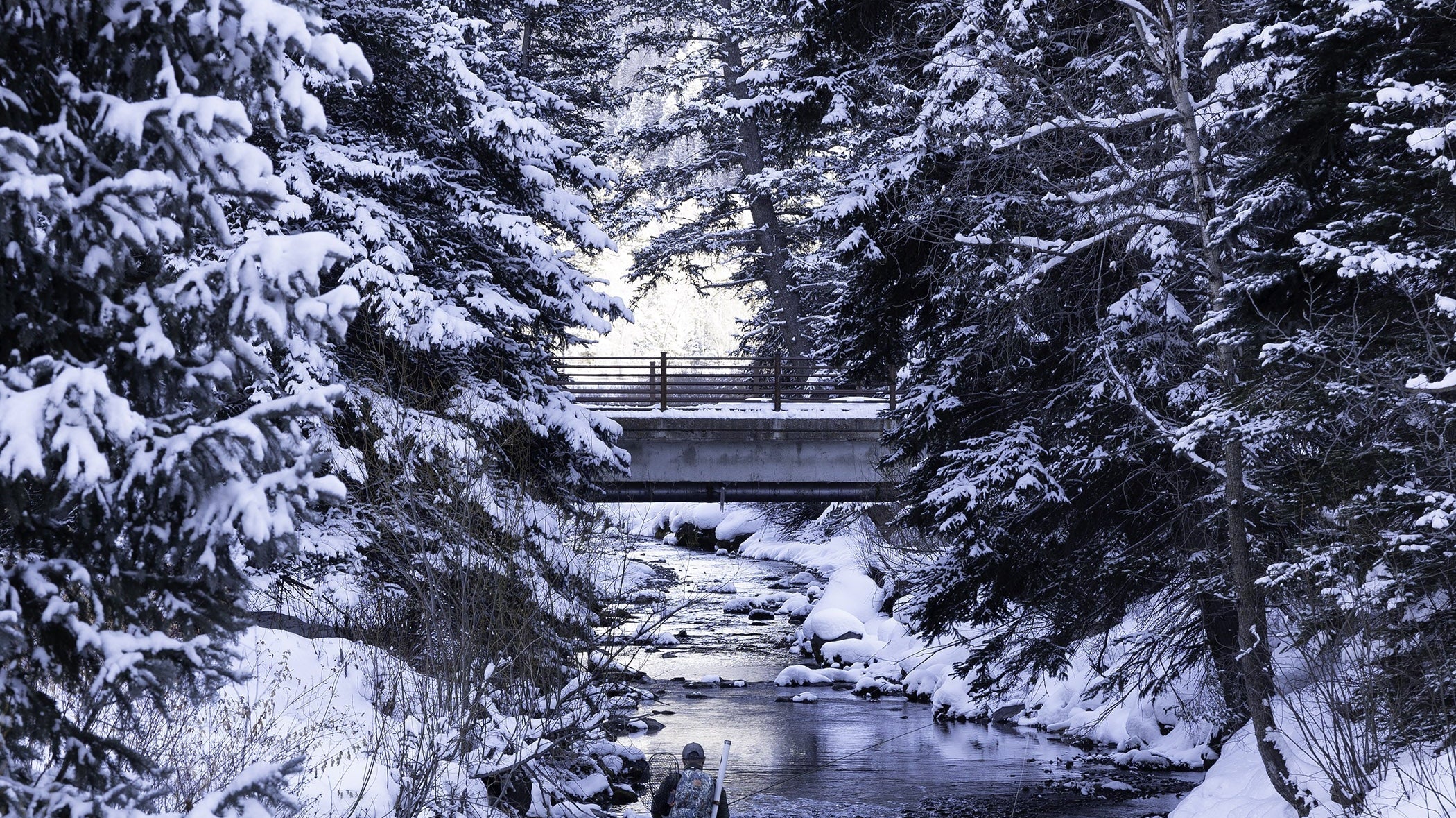 Winter Fly Fishing: Embrace the Cold - Feather Craft Fly Fishing