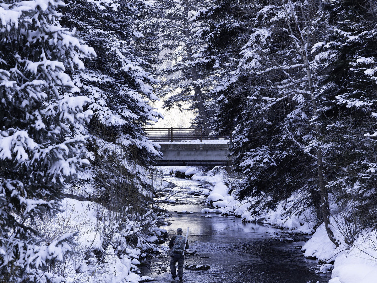 Winter Fly Fishing: Embrace the Cold - Feather Craft Fly Fishing