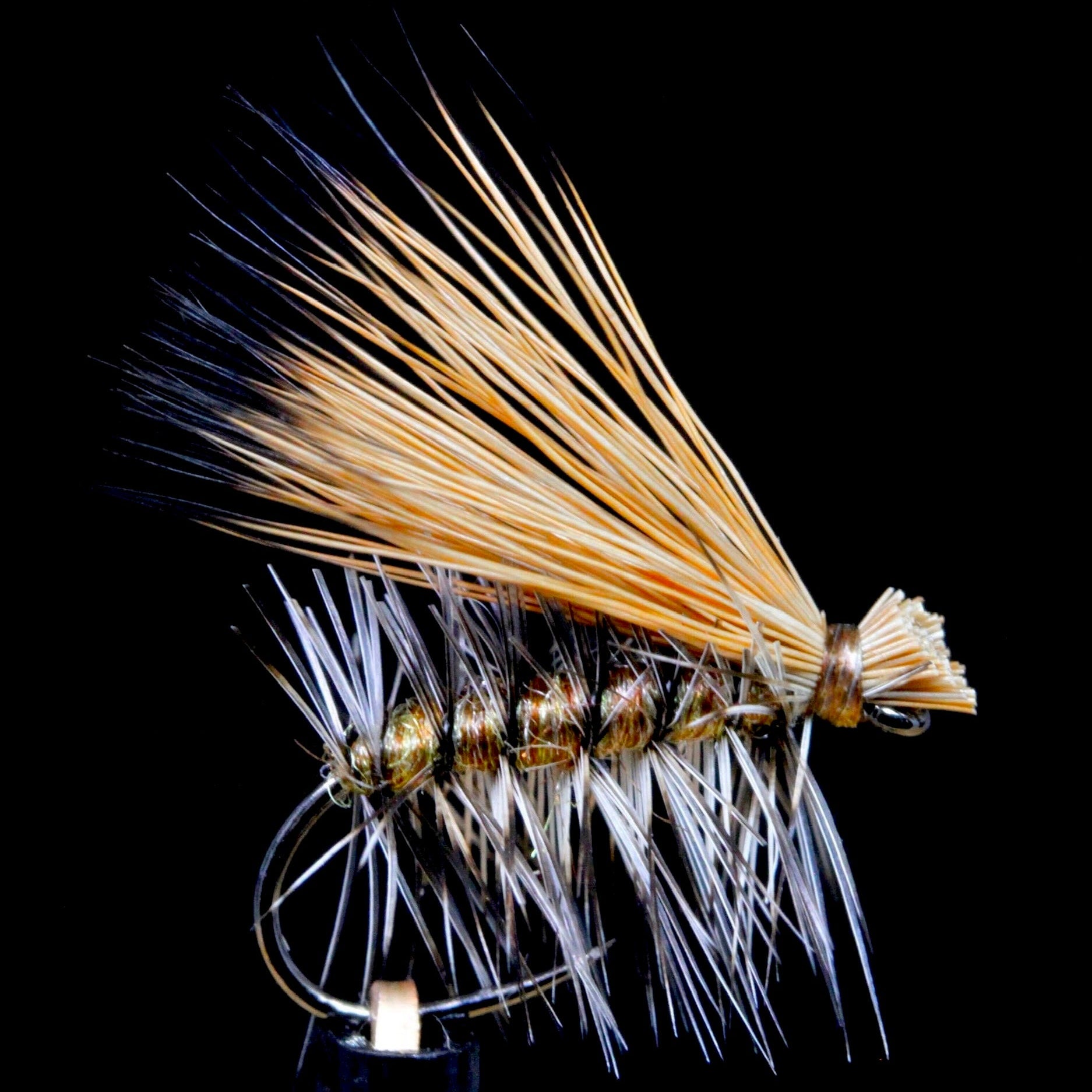 Caddis