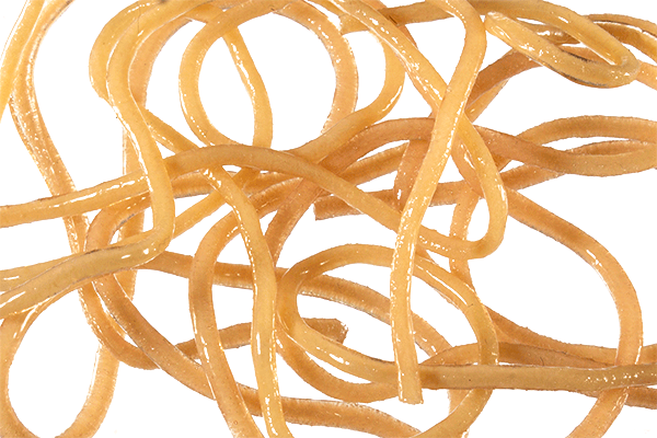 MFC Trina's Squirm Material - Feather Craft Fly Fishing