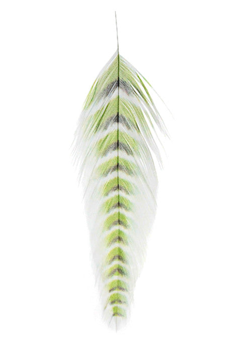 Mfc Galloups Fish Feathers - Grizzled - Feather Craft Fly Fishing