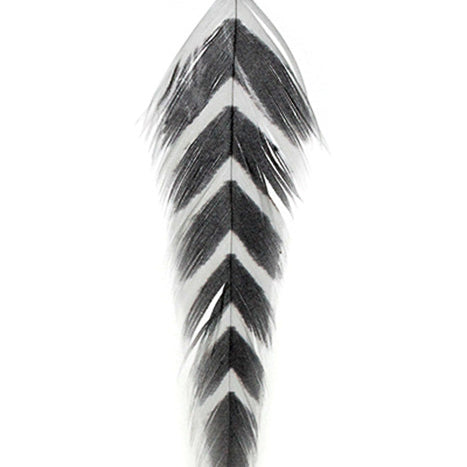 MFC Galloup's Fish Feathers - Arrowhead - Feather Craft Fly Fishing