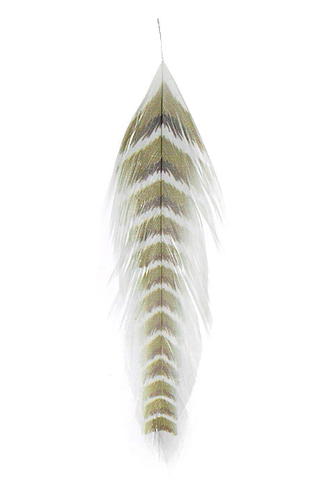Mfc Galloups Fish Feathers - Grizzled - Feather Craft Fly Fishing