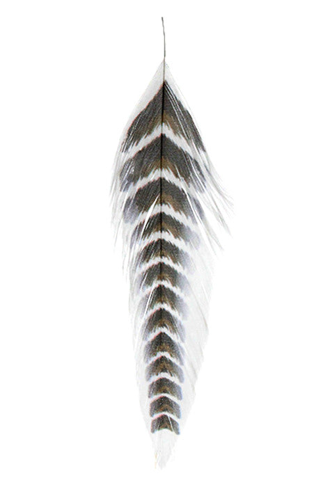 Mfc Galloups Fish Feathers - Grizzled - Feather Craft Fly Fishing
