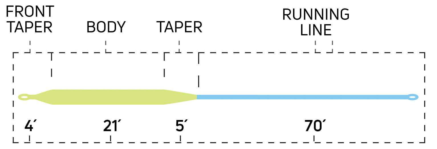 Cortland Cold Salt Series Striped Bass Float Fly Line - Feather Craft Fly Fishing