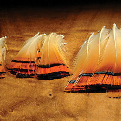 Golden Pheasant Tippets - Feather Craft Fly Fishing