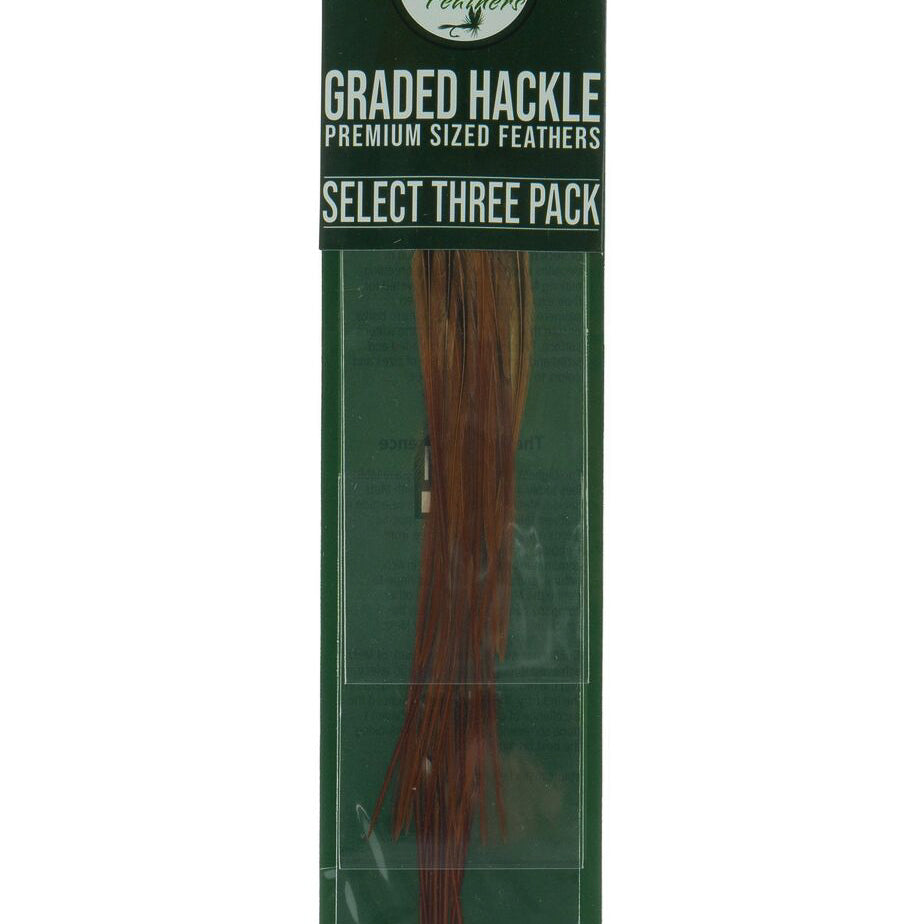 Metz Hackle Select 3-Pak - Feather Craft Fly Fishing