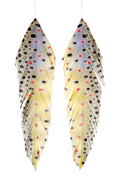 MFC Fish Feathers - Feather Craft Fly Fishing