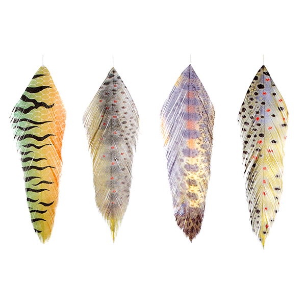 MFC Fish Feathers - Feather Craft Fly Fishing