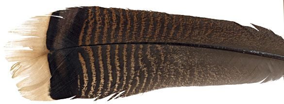 Feather-Craft Large Wild Turkey Tail Feathers - Feather Craft Fly Fishing