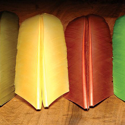 Turkey Biots - Feather Craft Fly Fishing