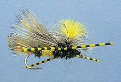 MFC Speckled Centipede Legs - Black Barred - Feather Craft Fly Fishing