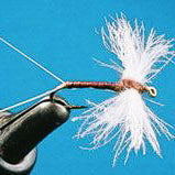 Mayfly Tails - Feather Craft Fly Fishing