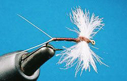 Mayfly Tails - Feather Craft Fly Fishing