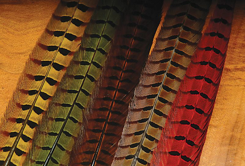 Dyed Pheasant Tails - Feather Craft Fly Fishing