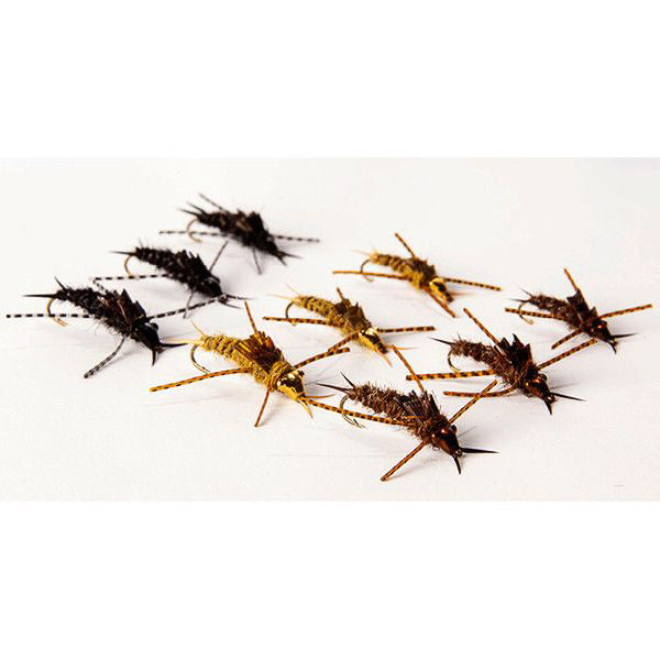 Nymph Head Evolution Stonefly" Tungsten Bead Heads - Feather Craft Fly Fishing
