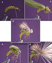 D-Rib - Feather Craft Fly Fishing