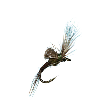 Morris May Emerger - Bwo - Feather Craft Fly Fishing