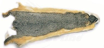 Feather Craft Tanned Squirrel Hides - Feather Craft Fly Fishing