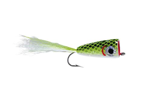Bubble-Head Popper - Feather Craft Fly Fishing
