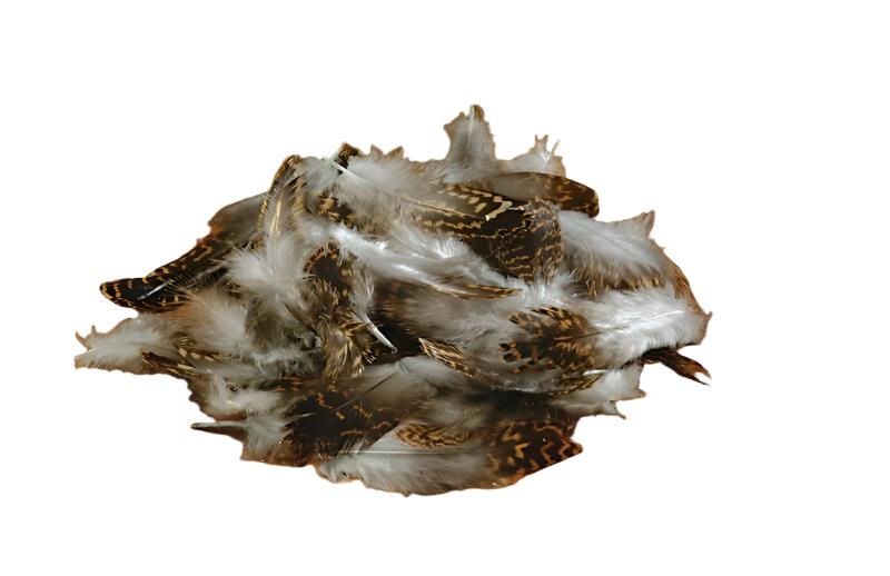 Euro Grouse Body Feathers - Feather Craft Fly Fishing