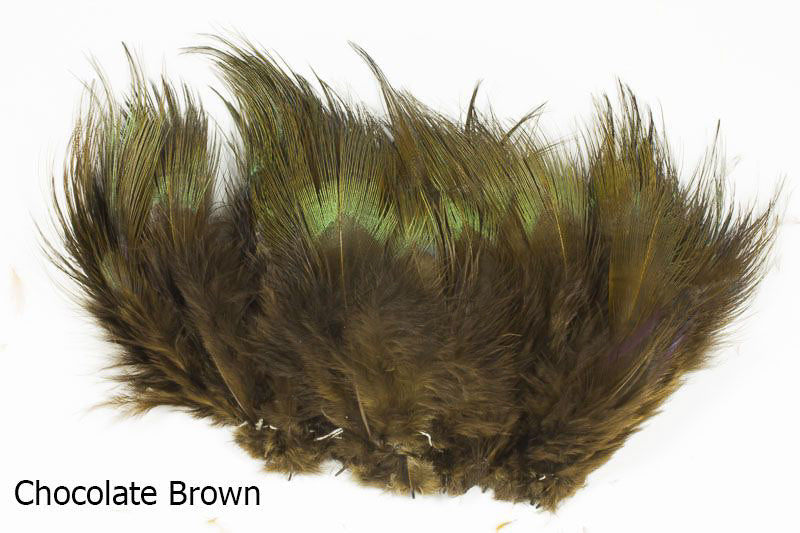 Strung Ringneck Pheasant Rump - Feather Craft Fly Fishing