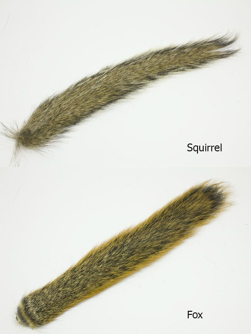 Squirrel Tail - Feather Craft Fly Fishing