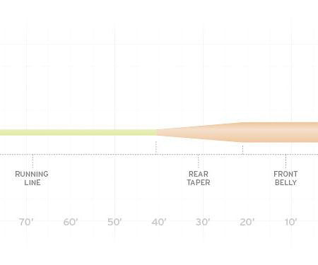Scientific Anglers Amplitude Smooth Grand Slam Taper Floating Fly Line - Feather Craft Fly Fishing