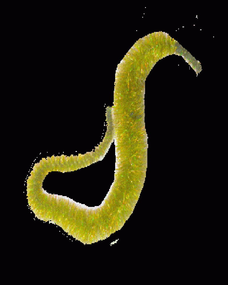 Mangums Crystal Dragon Tails - Feather Craft Fly Fishing