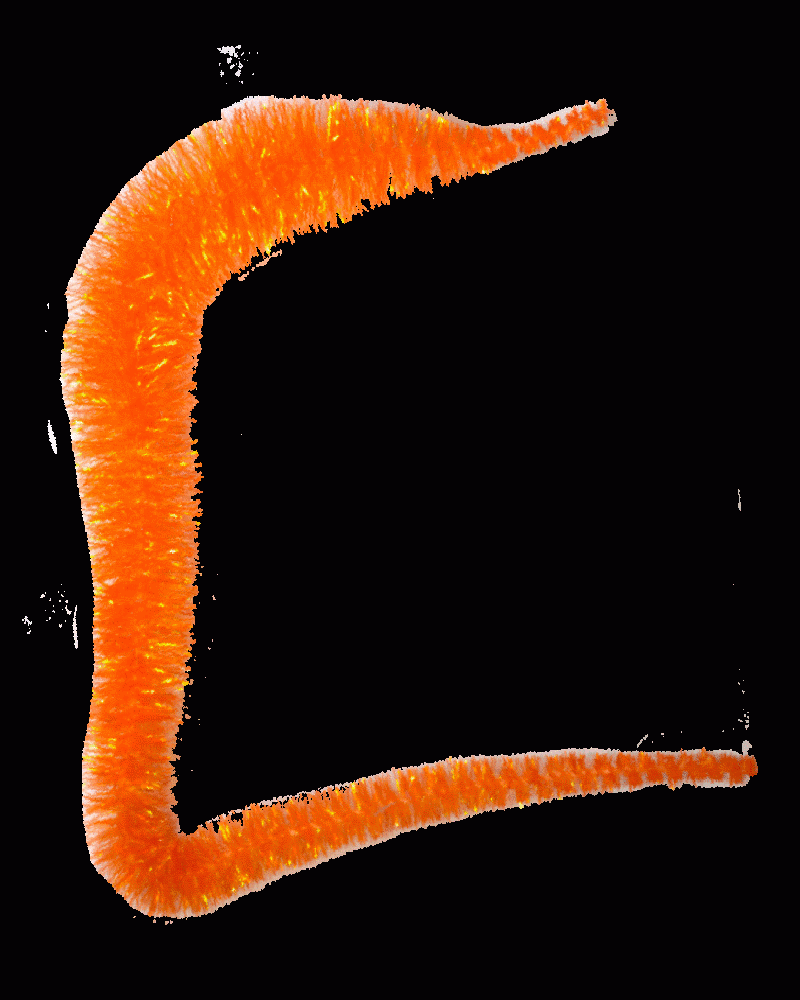 Mangums Crystal Dragon Tails - Feather Craft Fly Fishing