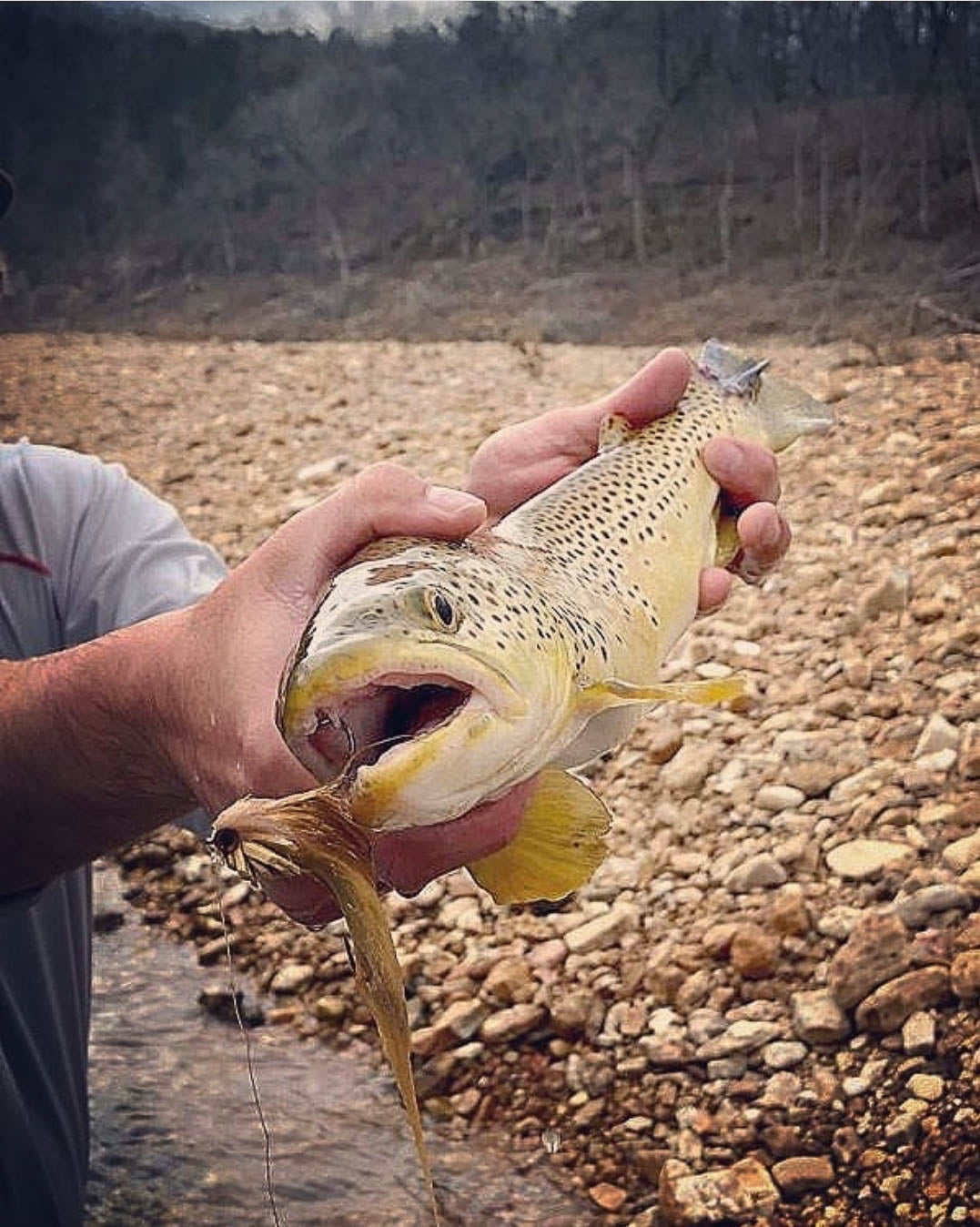 Brian Wises Knucklehead - Feather Craft Fly Fishing