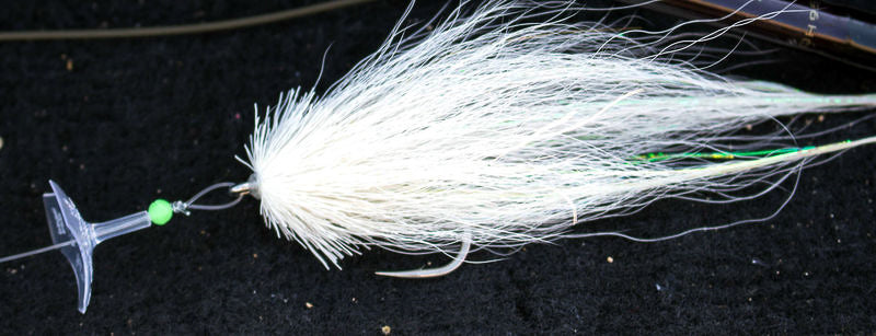 Wigglefin Action Discs - Feather Craft Fly Fishing