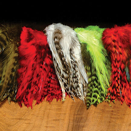 Strung 4"-6" Grizzly Variant Saddle Hackle - Feather Craft Fly Fishing