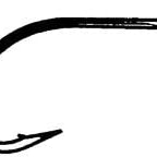 Gamakatsu Sc15 All Around Saltwater Hook - Feather Craft Fly Fishing