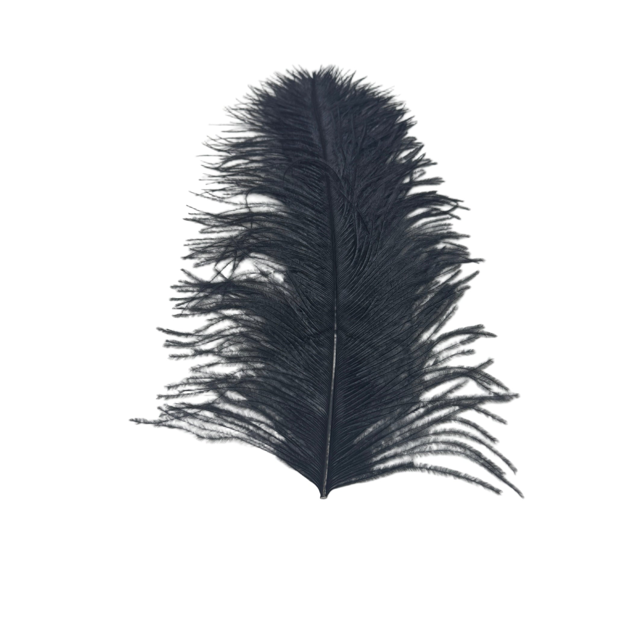 Black Large Ostrich Plume for Fly Tying