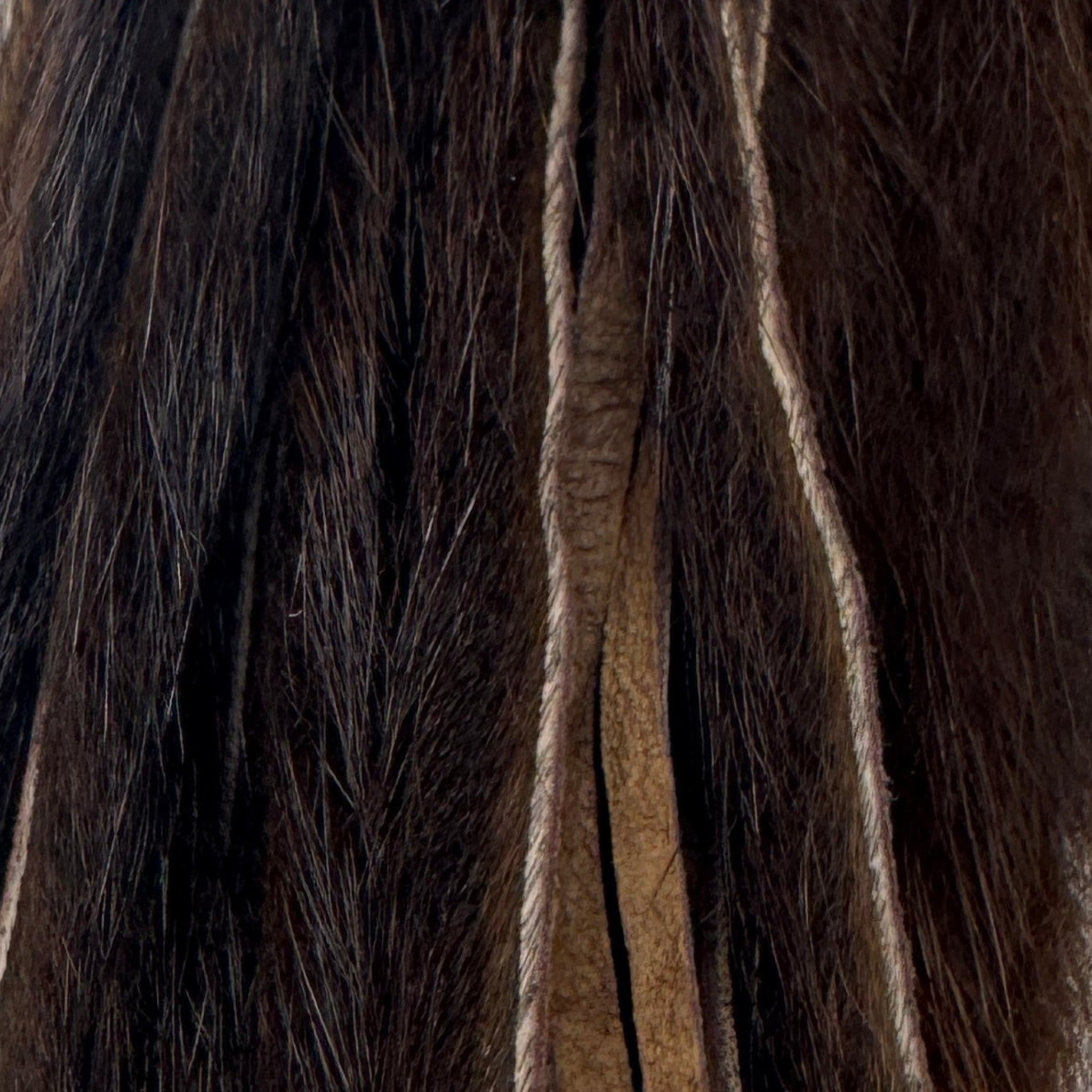 Brown Squirrel Skins Zonked for Fly Tying