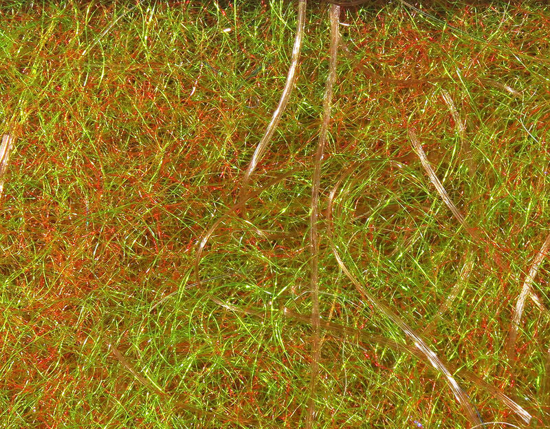 Cohens Carp Dub - Feather Craft Fly Fishing