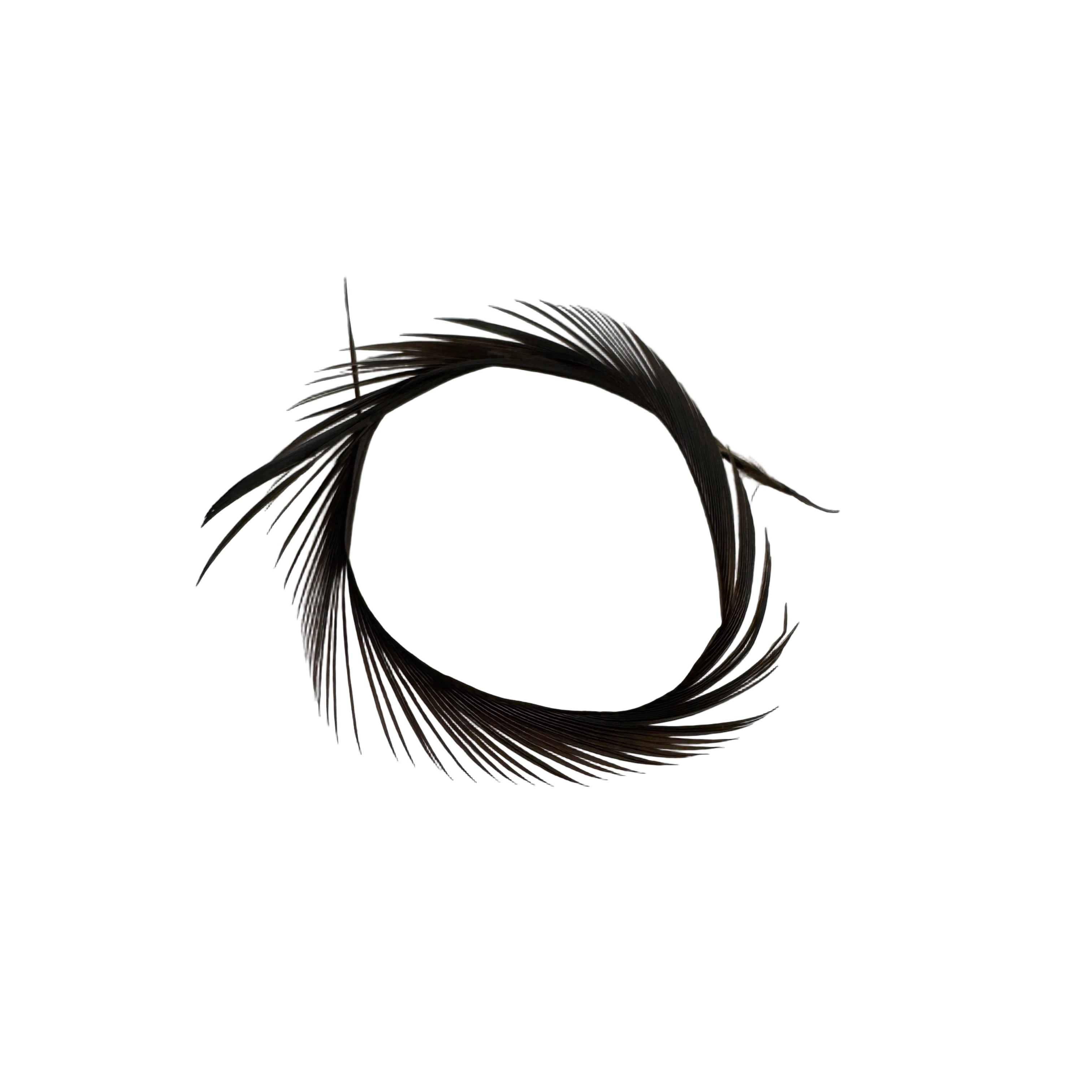 Dark Brown Goose Biots for Fly Tying