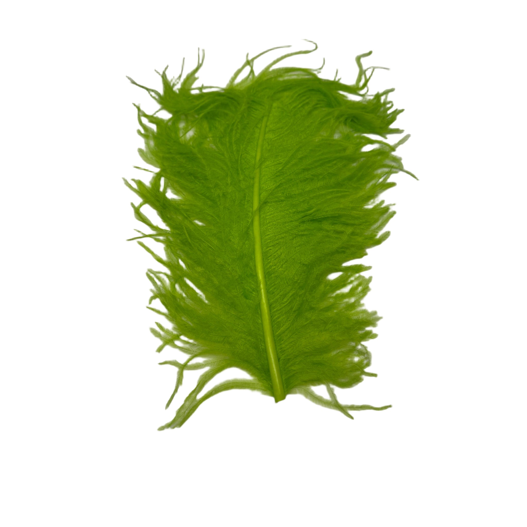 Fl Chartreuse Large Ostrich Plume for Fly Tying