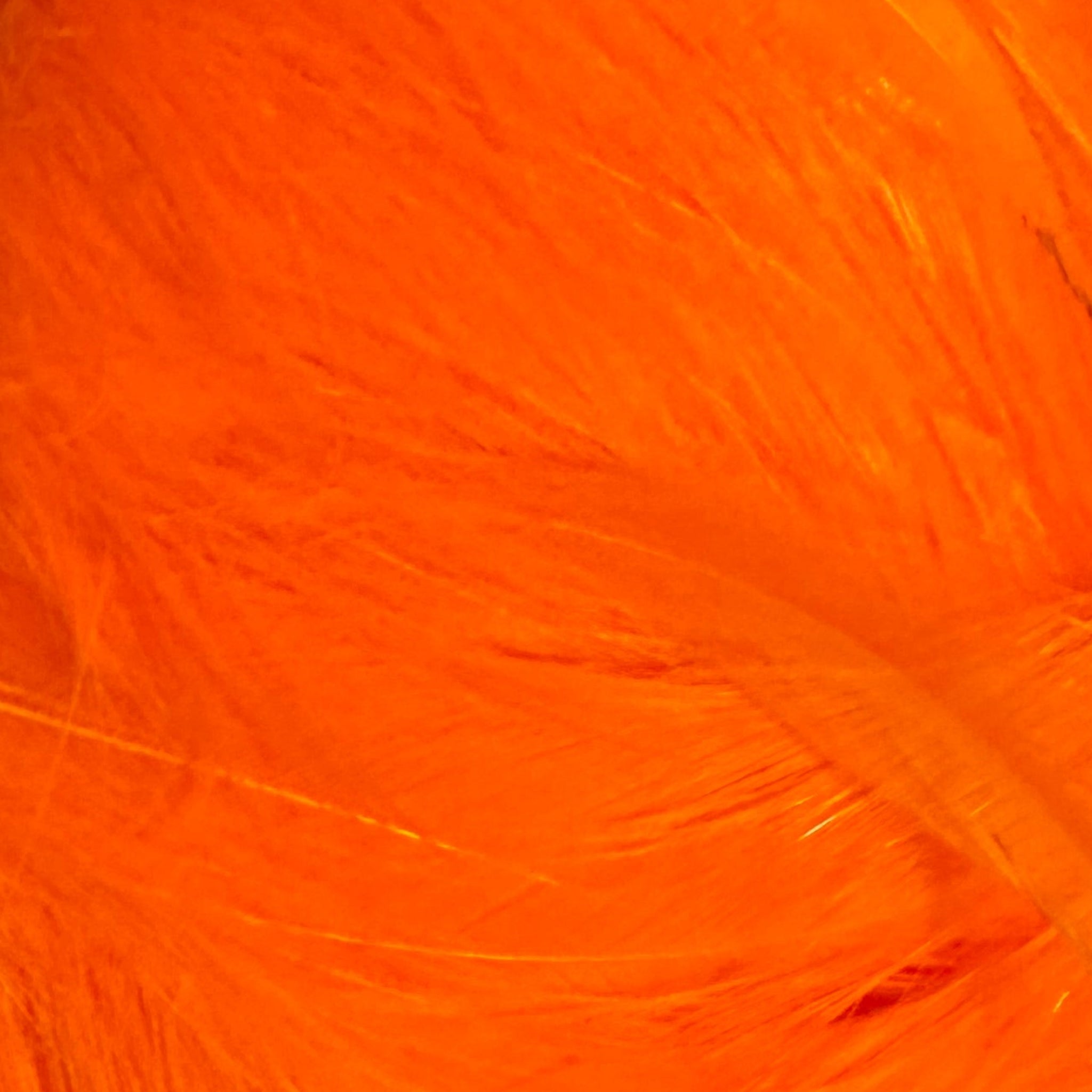 Fl Orange Saltwater Neck Hackle for Fly Tying