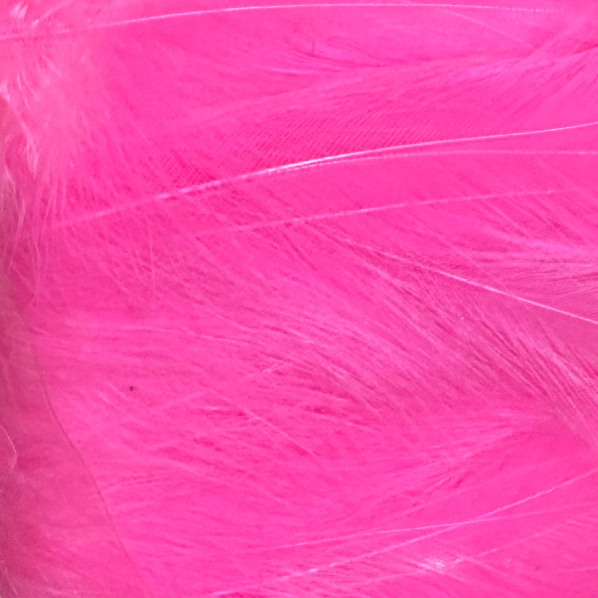 Fl Pink Saltwater Neck Hackle for Fly Tying