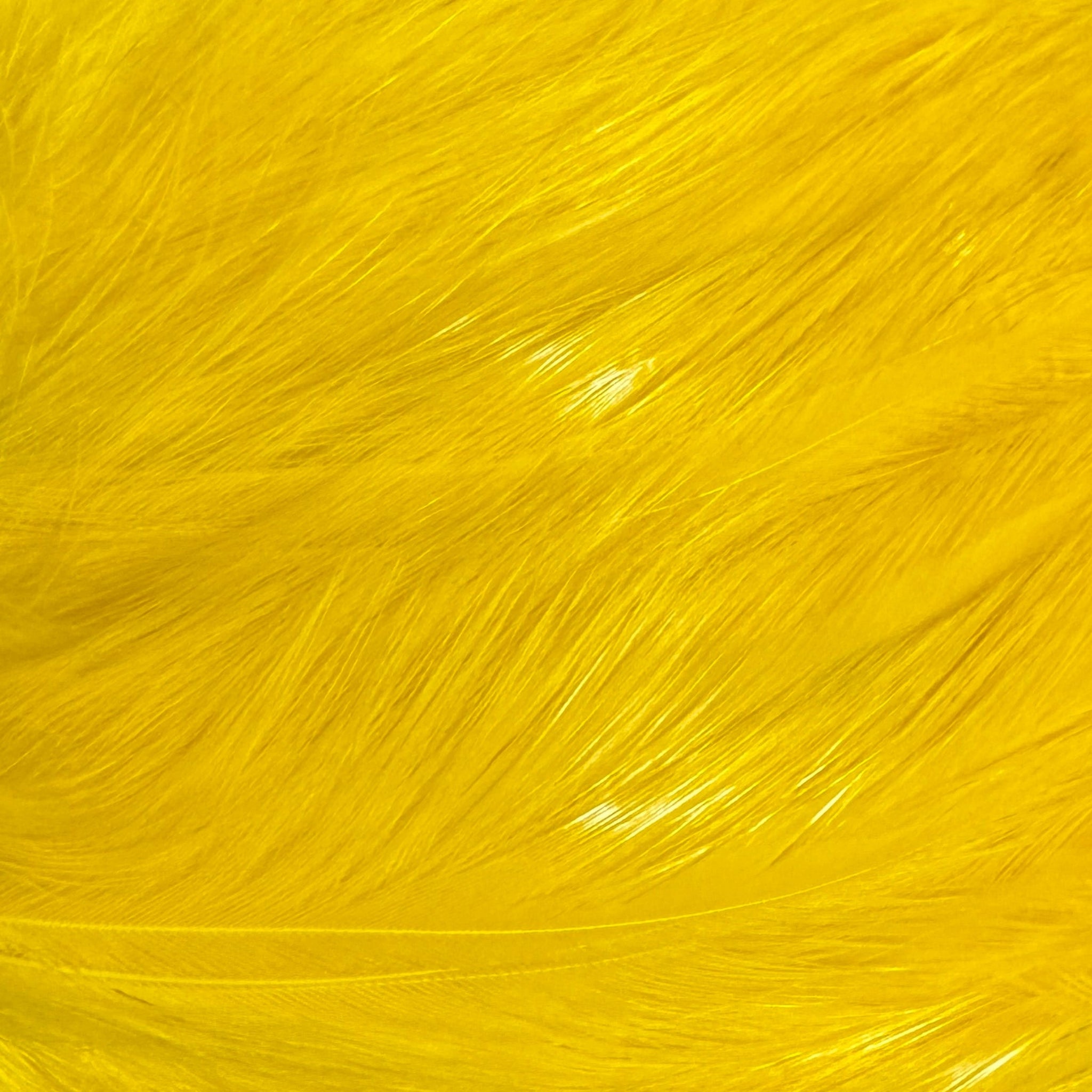 Fl Yellow Neck Hackle for Fly Tying