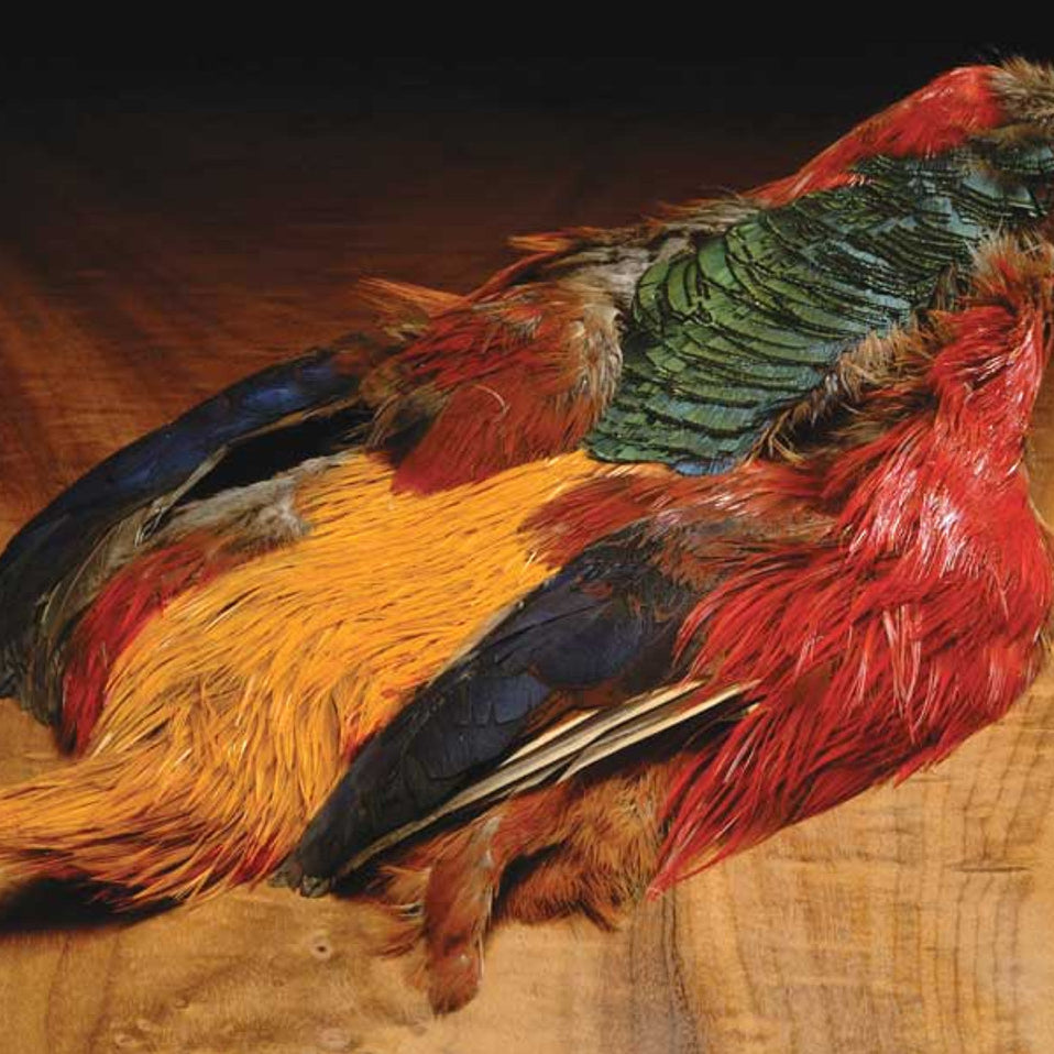 Feather-Craft Golden Pheasant 1/2 Skins - Feather Craft Fly Fishing